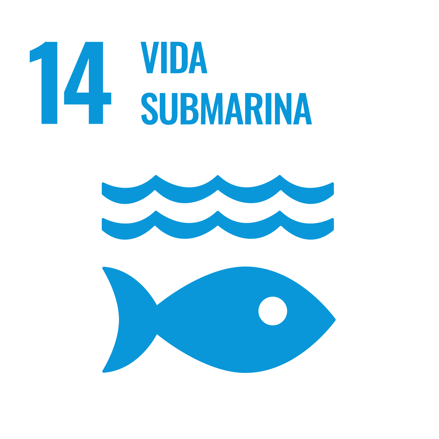 ODS 14 vida submarina 