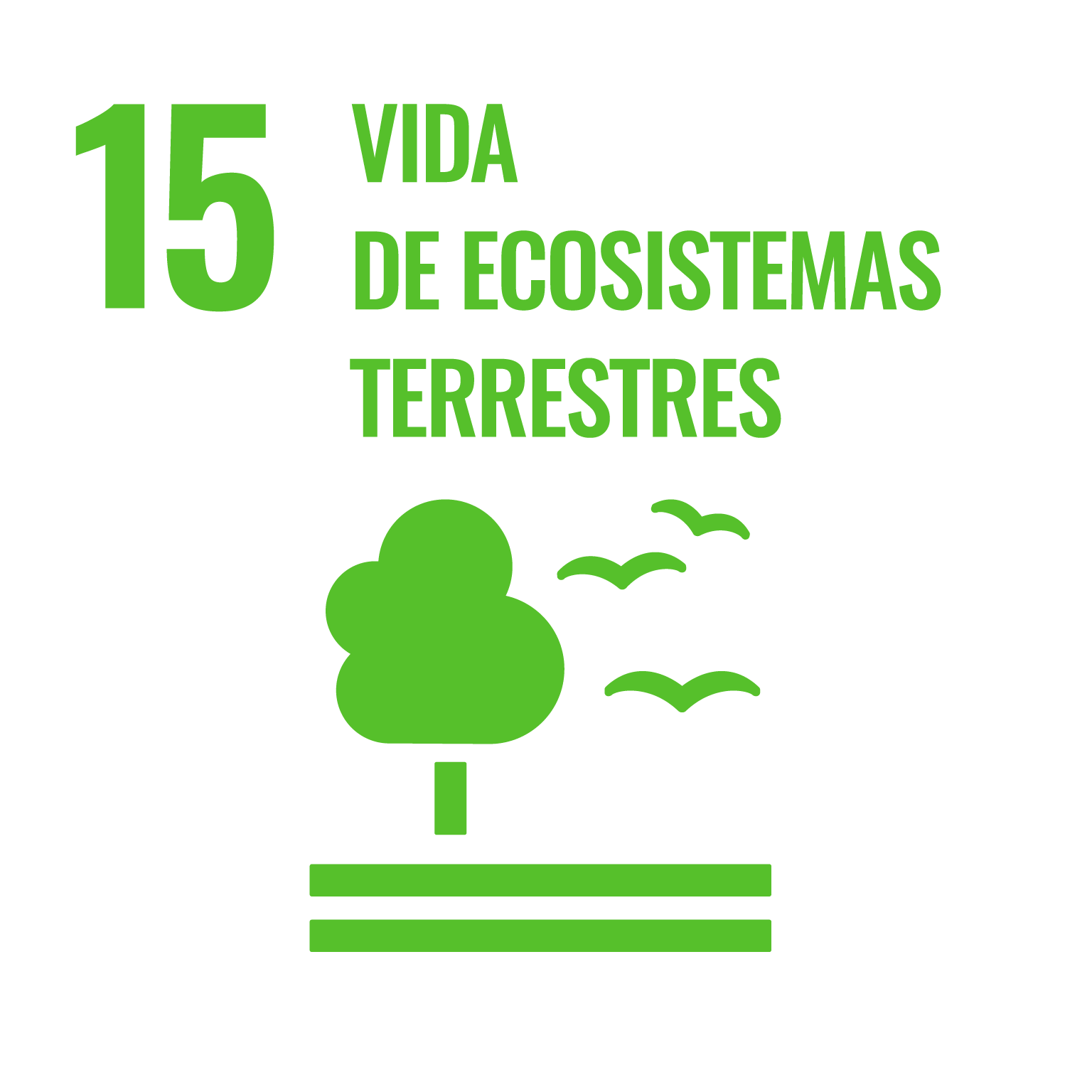 ODS 15 vida de ecosistemas terrestres