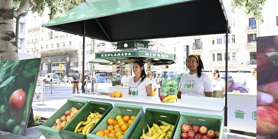 Alimentos